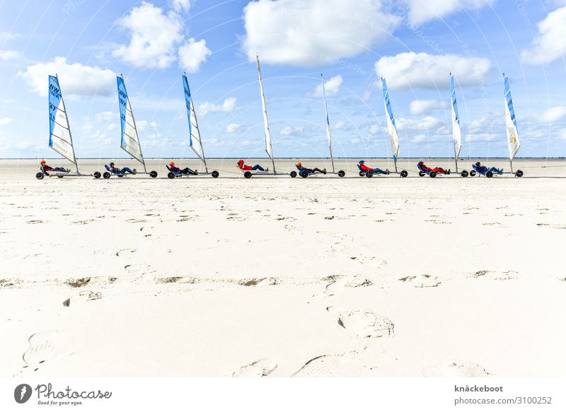 Saint Peter Ording Lifestyle Leisure and hobbies Vacation & Travel Sports Fitness Sports Training Aquatics Human being Group Sun Sunlight Summer Weather