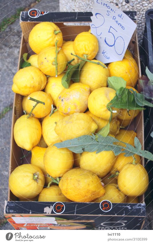 lemons Food Fruit Lemon Nutrition Italian Food Yellow Gray Green Lemon leaf Crate Cardboard Farmer's market Sell Organic produce Price tag Italy Harvest Sour