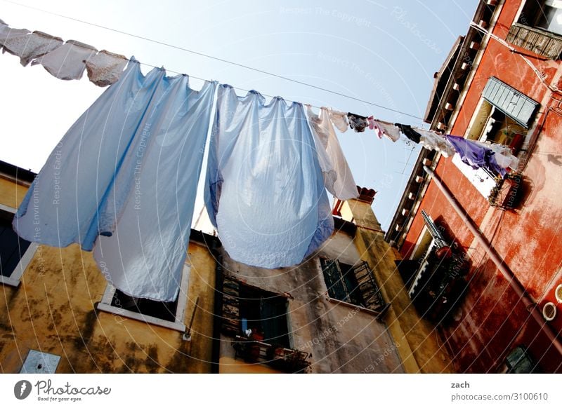 washing day Venice Italy Village Small Town Old town House (Residential Structure) Wall (barrier) Wall (building) Facade Window Clothing Shirt Dress Underwear