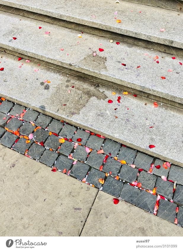 All those lonely parties... Party Patch Exterior shot End Adversity Confetti Stairs City hall Blossom leave Sparkling wine Wedding Grubby Dirty