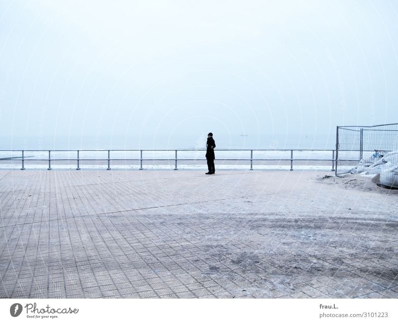 Ostend Vacation & Travel Tourism Trip Beach Ocean Winter Snow Man Adults 1 Human being 45 - 60 years North Sea Coat Hat Looking Serene Loneliness Oostende