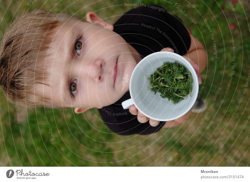 cup Child Toddler Boy (child) Infancy Life 1 Human being 3 - 8 years Discover Looking Brash Happiness Happy Natural Curiosity Son Playing Exterior shot Indicate