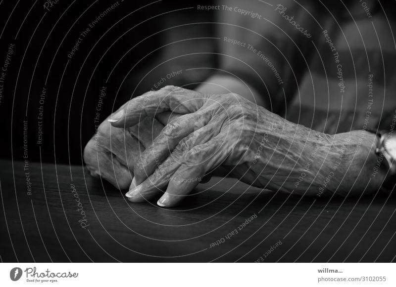Living evening - Old wrinkled hands of a senior woman Senior citizen Female senior Hand age Wrinkle Fingers Retirement Grandmother Fingernail old age pension