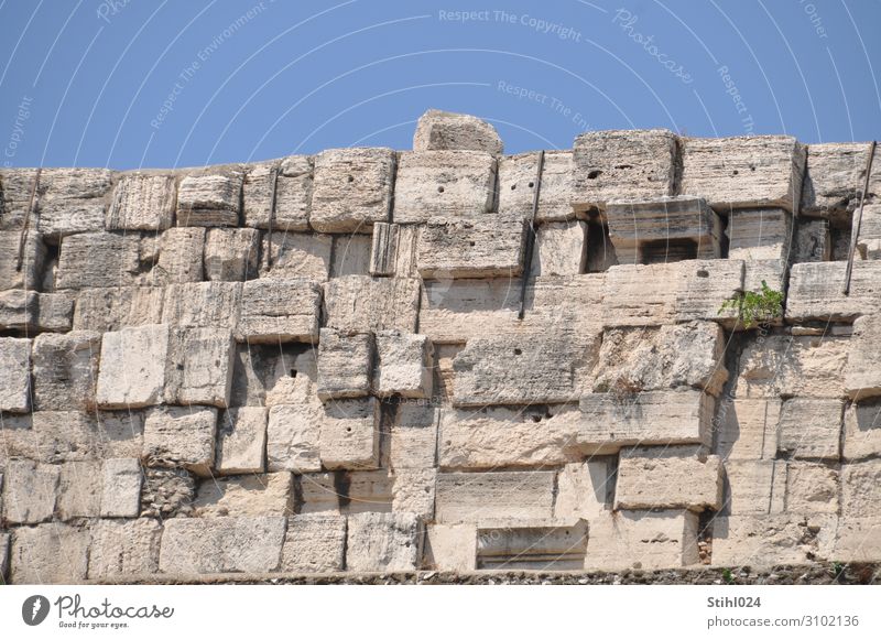 Wall of large, coarse sandstone blocks Rome Ruin Manmade structures Wall (barrier) Wall (building) Stone wall Sandstone Colosseum Sharp-edged Large Historic