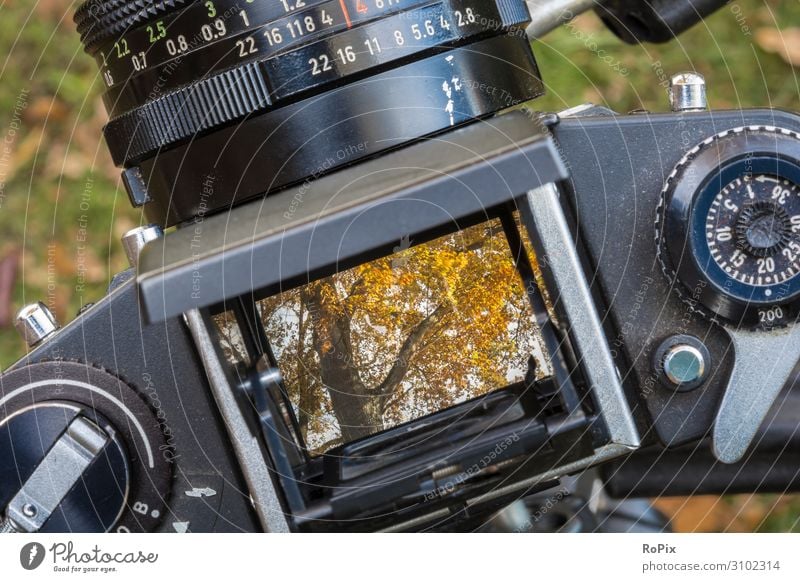 Detail of a historic camera. Lifestyle Design Leisure and hobbies Vacation & Travel Education Adult Education Profession Gardening Economy Agriculture Forestry