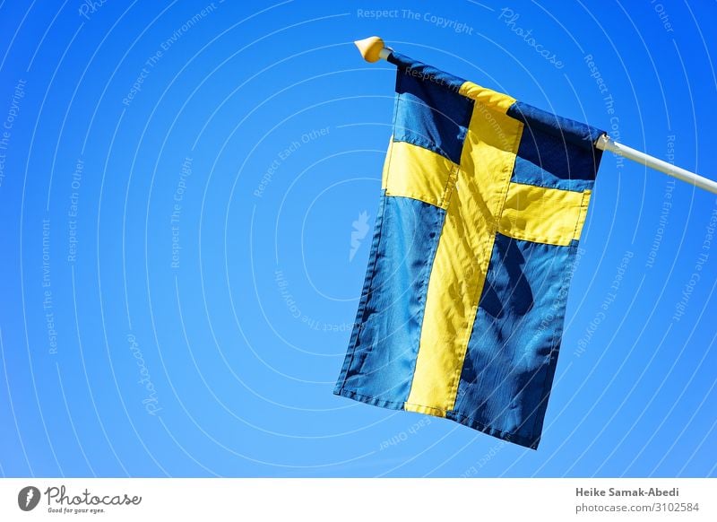 Swedish National Flag Sky Sweden Sign Signs and labeling Blue Yellow Pride Civic pride Home country Patriotism Ensign Colour photo Deserted Copy Space left