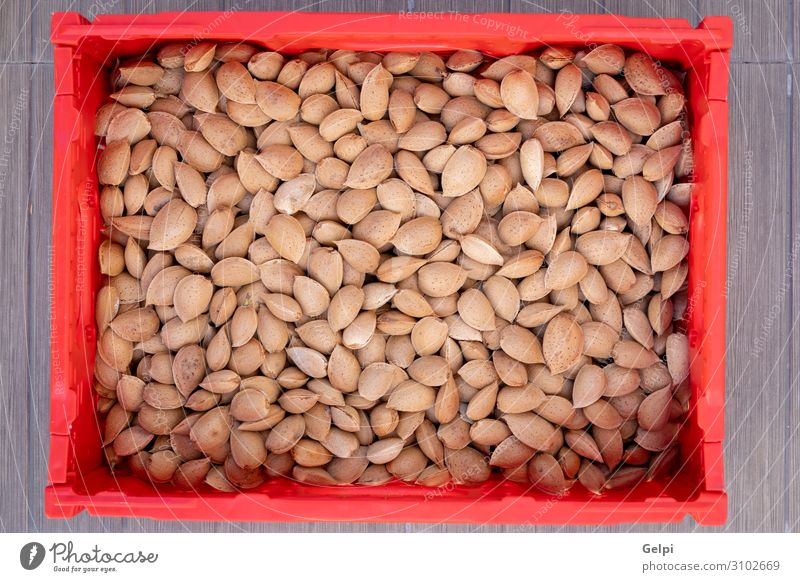 Many freshly picked almonds Fruit Nutrition Eating Vegetarian diet Diet Table Group Autumn Wood Fresh Natural Brown Red Almond food Shell Ingredients nut