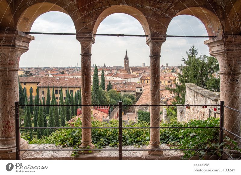 View over Verona, Italy Vacation & Travel Tourism Trip Far-off places City trip Europe House (Residential Structure) Palace Architecture Tourist Attraction