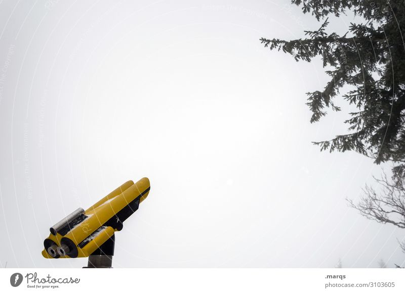 nearsighted Fog Branch Telescope Vantage point Vision Yellow Advice Cold Perspective Future Orientation Tourism Colour photo Exterior shot Copy Space top