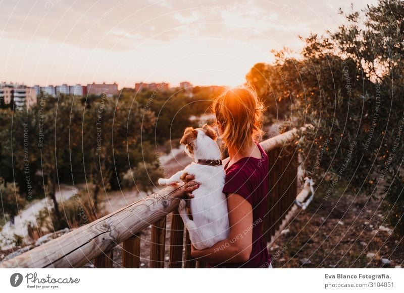 young woman and her dog watching sunset in a park Lifestyle Joy Leisure and hobbies Summer Sun Feminine Young woman Youth (Young adults) Woman Adults Friendship