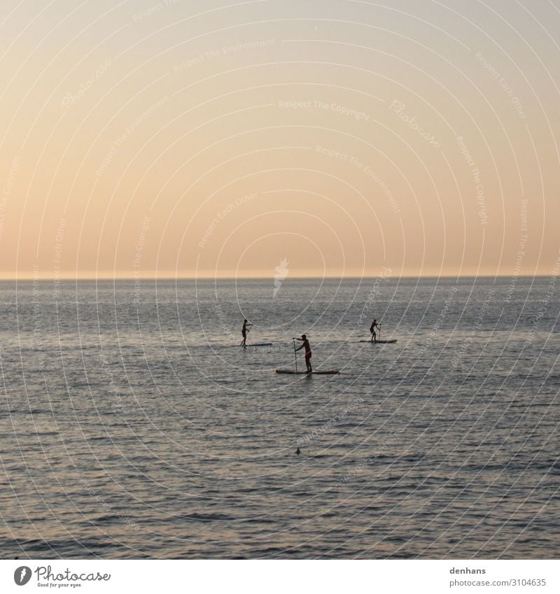 Three stand up paddlers on the sea Stand up paddling SEA Summer Summer vacation Ocean Aquatics board Paddle Study Human being Young man Youth (Young adults) 3