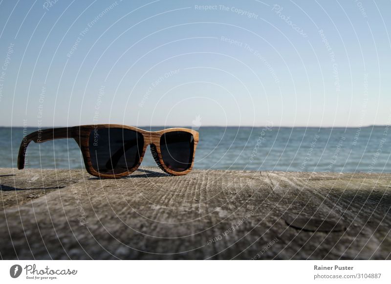 Sunglasses made of wood with sea in the background Style Ocean Cloudless sky Beautiful weather Coast Sweden Eyeglasses Cool (slang) wooden glasses Wood