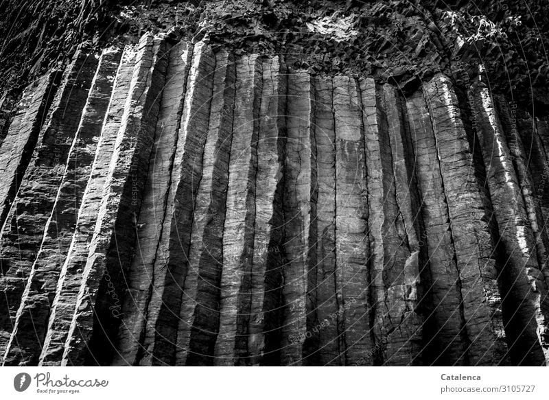 High basalt columns of a cave Cave Stone Authentic Exceptional Firm Long Gray Black White Calm Timeless Eternity Nature Black & white photo Exterior shot