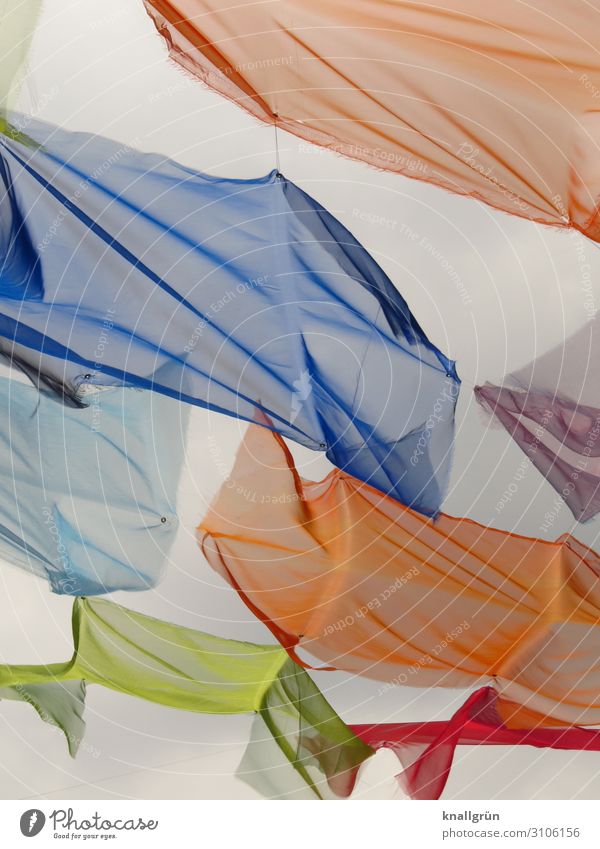 fluttering imprisonment Cloth Voile Flying Multicoloured Ease Rag Judder Colour photo Exterior shot Deserted Copy Space right Neutral Background