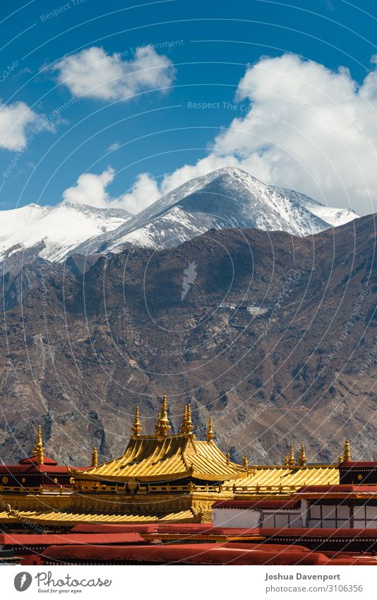 Jokhang Temple Vacation & Travel Tourism Sightseeing Mountain Landscape Himalayas Peak Snowcapped peak Religion and faith Asia asia travel Buddhism buddhist