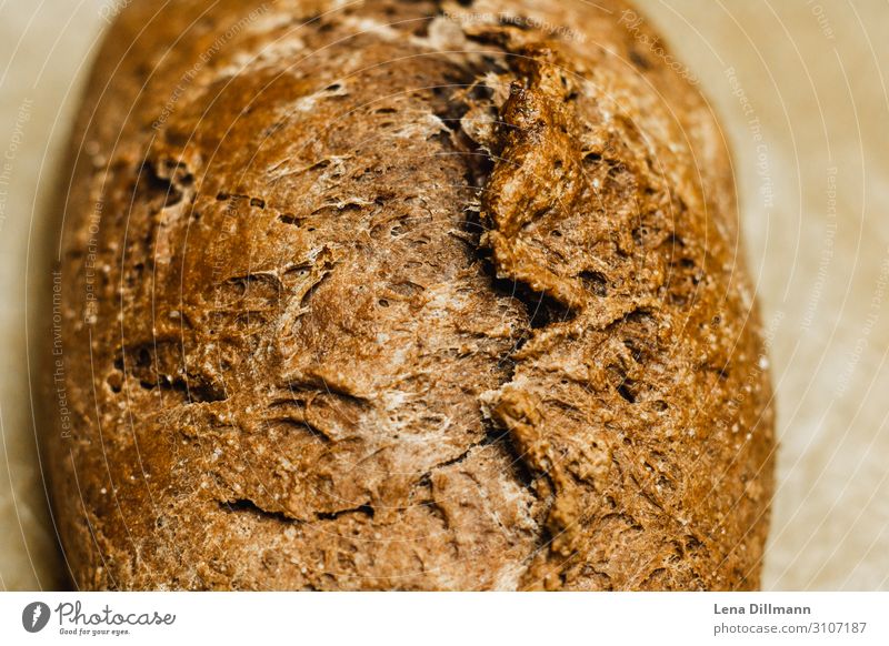 loaf of bread Bread Eating food Food Colour photo Nutrition Interior shot Dough Vegetarian diet Baking