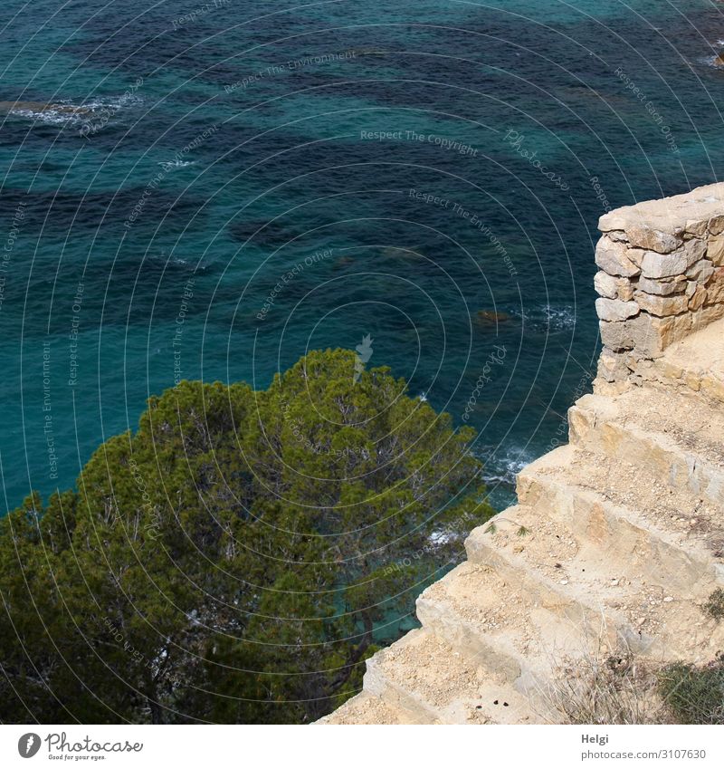 old stone stairs leading down to the sea Environment Nature Plant Water Spring Tree Coast Bay Ocean Mediterranean sea Island Majorca Wall (barrier)