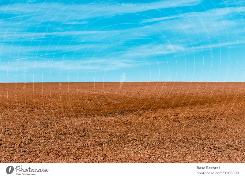 field boundary Environment Landscape Earth Climate change Beautiful weather Field Infinity Gloomy Dry Blue Brown Minimalistic Colour photo Exterior shot