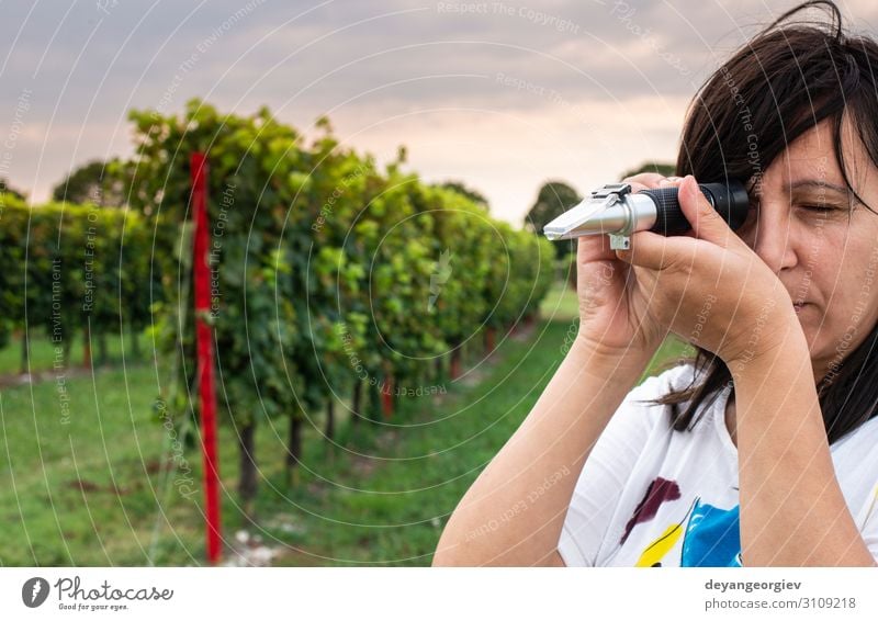 Measure grape beans in vineyards. Fruit Contentment Examinations and Tests Growth Fresh Natural Juicy Concentrate refractometer brix meter Vineyard wine