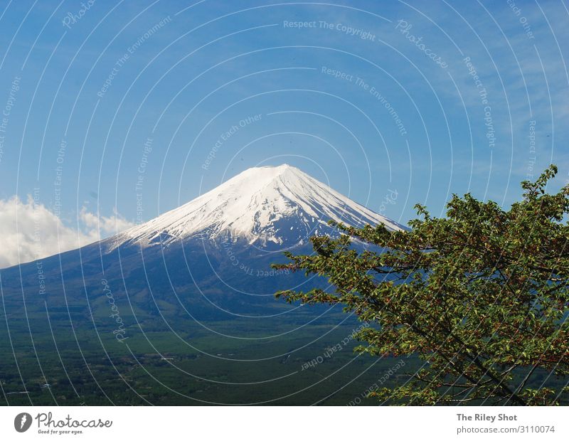 Mount Fuji Lifestyle Environment Nature Landscape Air Spring Climate Climate change Weather Beautiful weather mount Fuji Tokyo Vacation & Travel Old Joy Happy