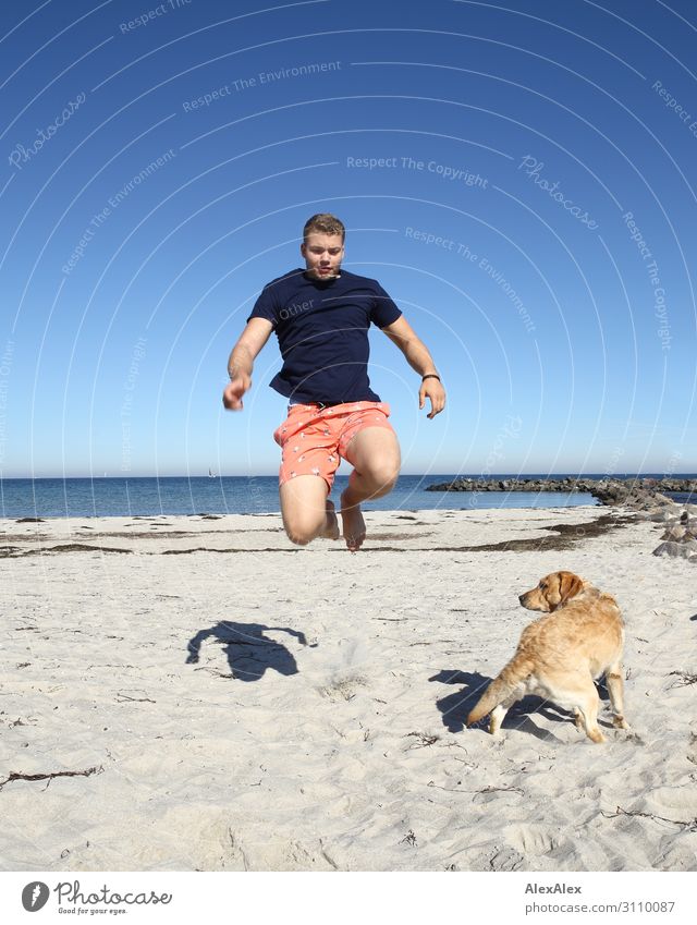 Young man jumps on the beach past a blond Labrador Lifestyle Joy Athletic Fitness Summer Summer vacation Beach Ocean Track and Field Youth (Young adults)