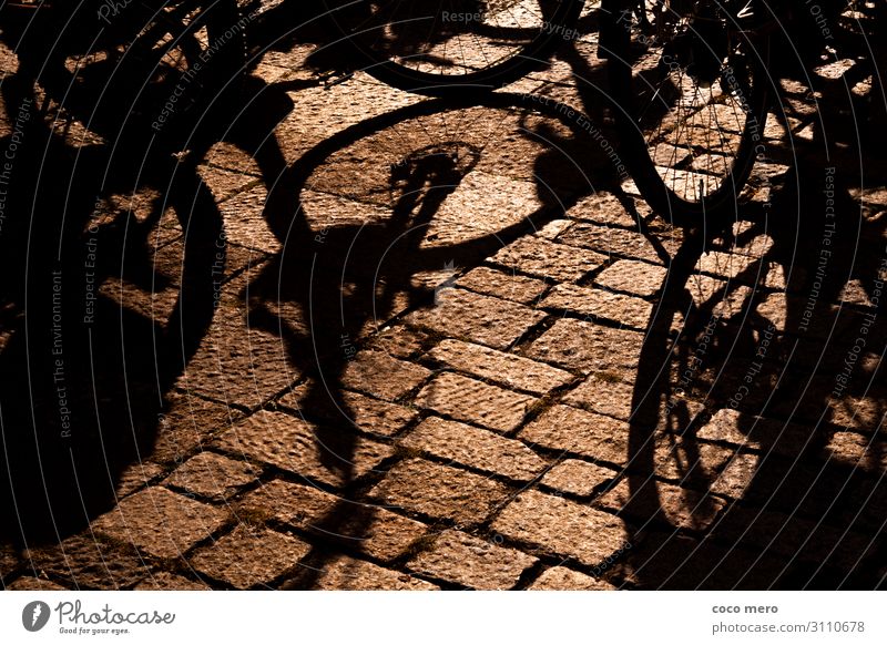 shadow wheels Wheel Tourism Trip Cycling Bicycle Movement Relaxation Health care Shadow play Colour photo Exterior shot Day