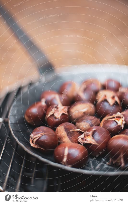 Delicious chestnuts in a pan on the grill Sweet chestnut Organic produce Vegetarian diet Slow food Autumn Brown Gold Orange Warm-heartedness Idyll Nature