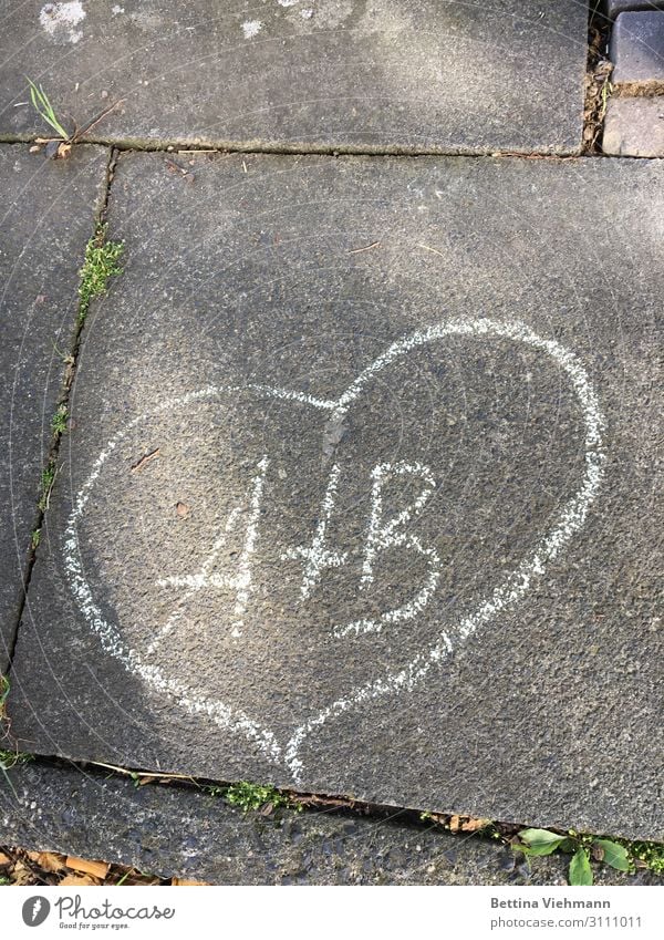 Love painted on asphalt Joy Harmonious Valentine's Day Wedding Couple Life Footpath Stone Sign Characters Graffiti Together Happy Gray White Emotions Moody