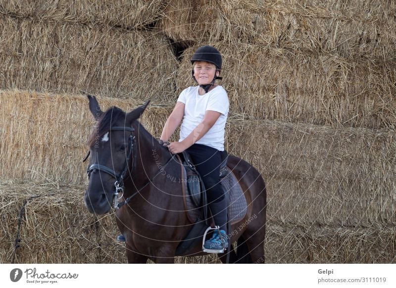 Learning to ride in the riding school Lifestyle Happy Leisure and hobbies Vacation & Travel Summer Child School Boy (child) Man Adults Friendship Infancy