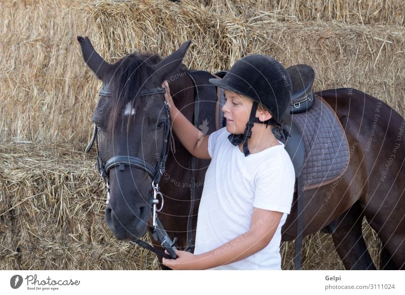 Learning to ride in the riding school Lifestyle Happy Leisure and hobbies Vacation & Travel Summer Child School Boy (child) Man Adults Friendship Infancy