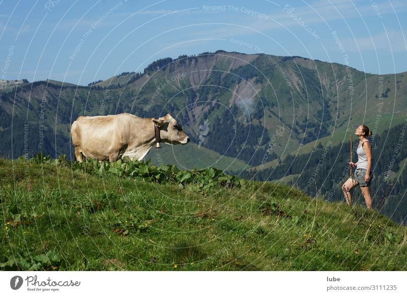 conversations Contentment Agriculture Forestry Young woman Youth (Young adults) 1 Human being Environment Nature Landscape Summer Beautiful weather Alps