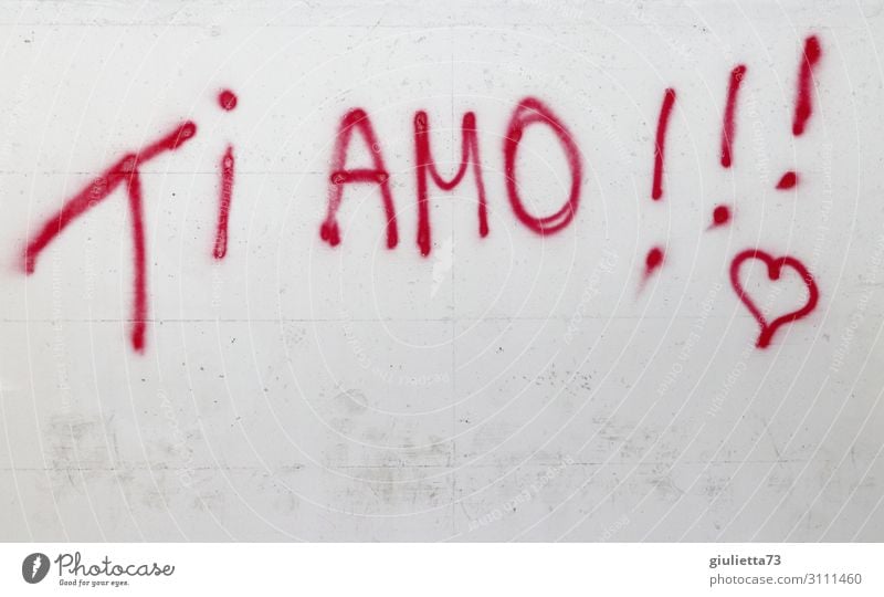Ti amo!!! Wall (barrier) Wall (building) Happy Hope Love Graffiti Characters Italian Italy Heart Display of affection Declaration of love Emotions With love