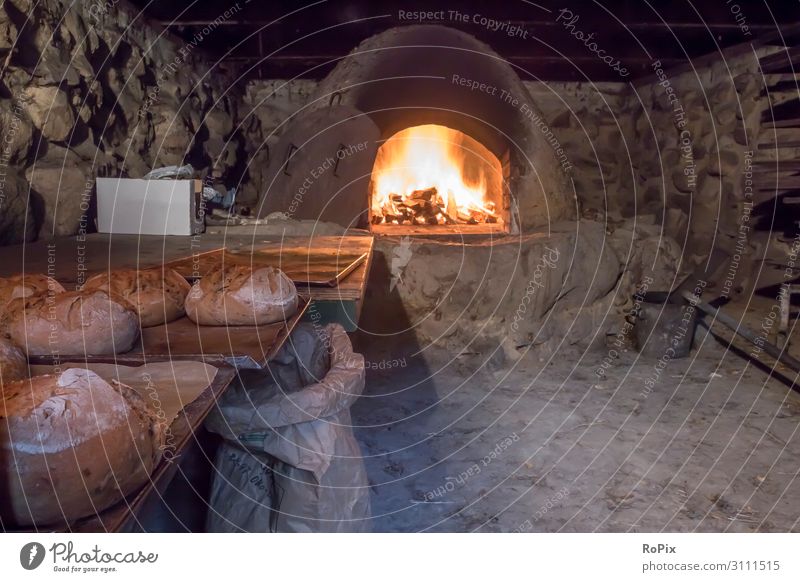 Baking bread in a historic oven. Food Bread Nutrition Eating Organic produce Slow food Lifestyle Style Design Harmonious Well-being Senses Relaxation
