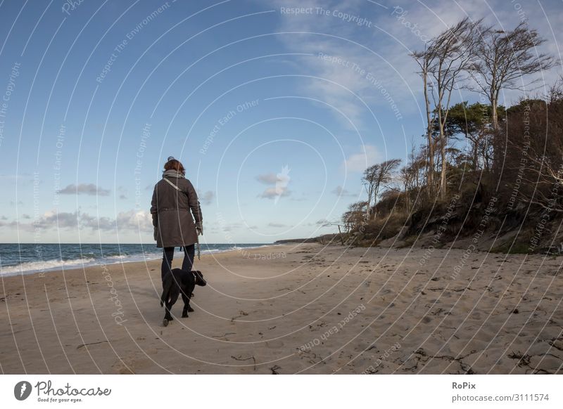 Woman walking the dog at the baltic sea. Lifestyle Style Healthy Wellness Relaxation Meditation Leisure and hobbies Vacation & Travel Tourism Trip Sightseeing