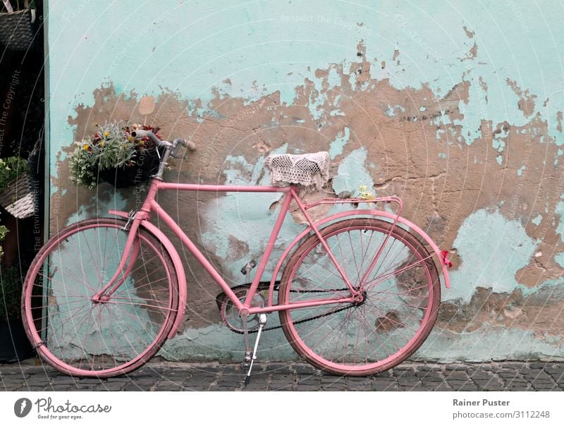 Vintage bike on turquoise wall Bicycle Florence Old town Wall (barrier) Wall (building) Blossoming Pink Turquoise Calm Retro Colour photo Exterior shot