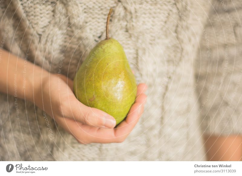 young woman in a braided sweater holding a pear in her hand Food Fruit Pear Pear stalk Nutrition Organic produce Vegetarian diet Human being Feminine