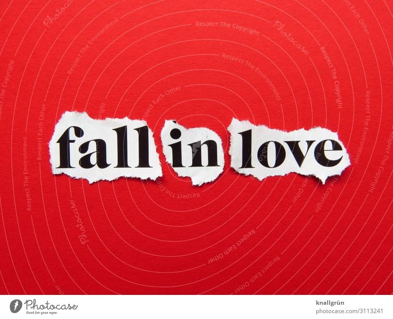 Fall in Love Characters Signs and labeling Communicate Gray Red White Emotions Happy Joie de vivre (Vitality) Sympathy Together Infatuation Desire Beginning