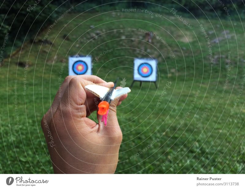 Two targets, one arrow Archer Archery Hand Park Hill Arrow Throw Green Concentrate Planning Target Decide Colour photo Exterior shot Copy Space right