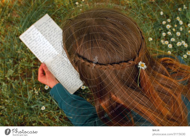 Bird's-eye view of a happy, happy, pretty girl with long brown hair, beautiful braided hair, flower in her hair, lying in a meadow with daisies in the nature and reading a love letter, letter, handwritten.