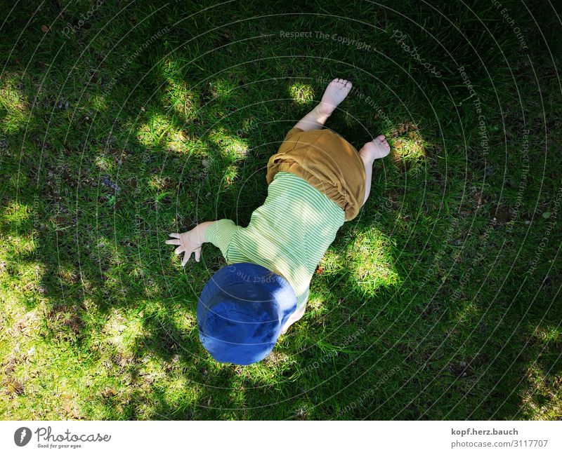 up and away Baby Toddler 1 Human being 0 - 12 months Meadow Cap Cute Joie de vivre (Vitality) Willpower Beginning Crawl Bird's-eye view learn to walk Small