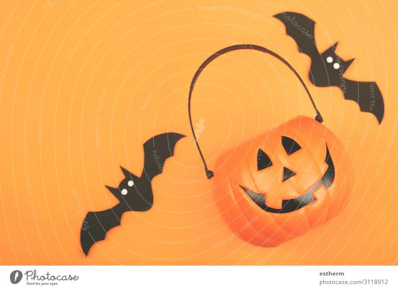 Happy Halloween. Halloween pumpkin with bats Design Feasts & Celebrations Hallowe'en Autumn Animal Spider Threat Funny Orange Black Death Fear Horror Mysterious