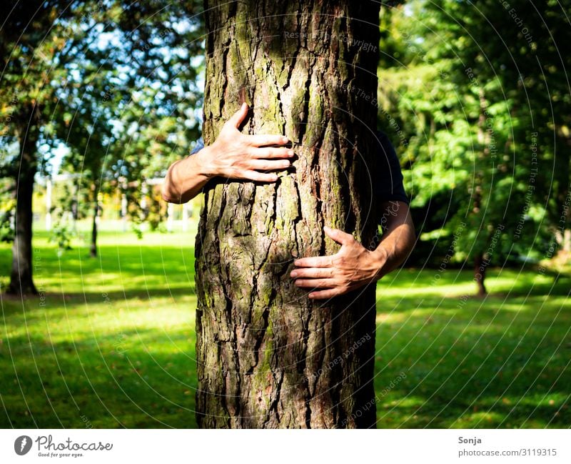 Man hugging a tree in a park Lifestyle Masculine Adults Hand Fingers 1 Human being 45 - 60 years Environment Nature Summer Autumn Climate change Tree Grass Park