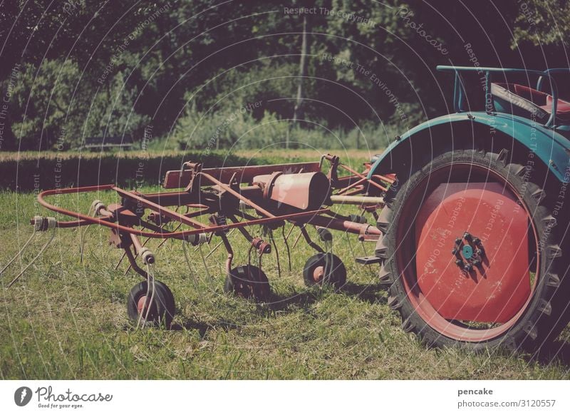 Valuable heavy equipment. Nature Beautiful weather Meadow Field Vehicle Tractor Rotate Driving Reap Hay Agriculture Old Vintage Colour photo Exterior shot