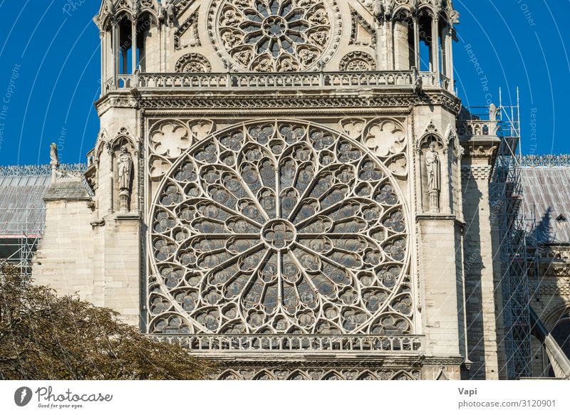 Notre Dame de Paris Style Design Vacation & Travel Tourism Sightseeing City trip Summer Summer vacation Decoration Sculpture Architecture Culture Sky