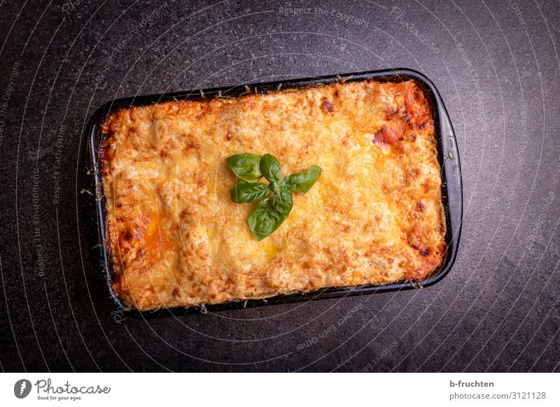 lasagna al forno Food Meat Nutrition Dinner Banquet Organic produce Cook Kitchen Work and employment To enjoy Lasagne Basil Fresh Oven dish Pasta dish