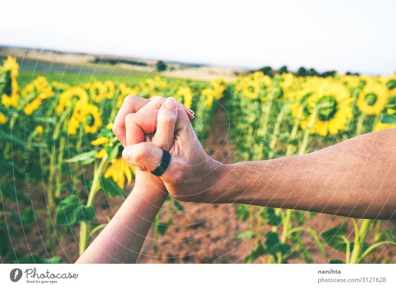 couple holding hands in a field of sunflowers Lifestyle Beautiful Work and employment Agriculture Forestry Couple Partner Hand Environment Nature Landscape