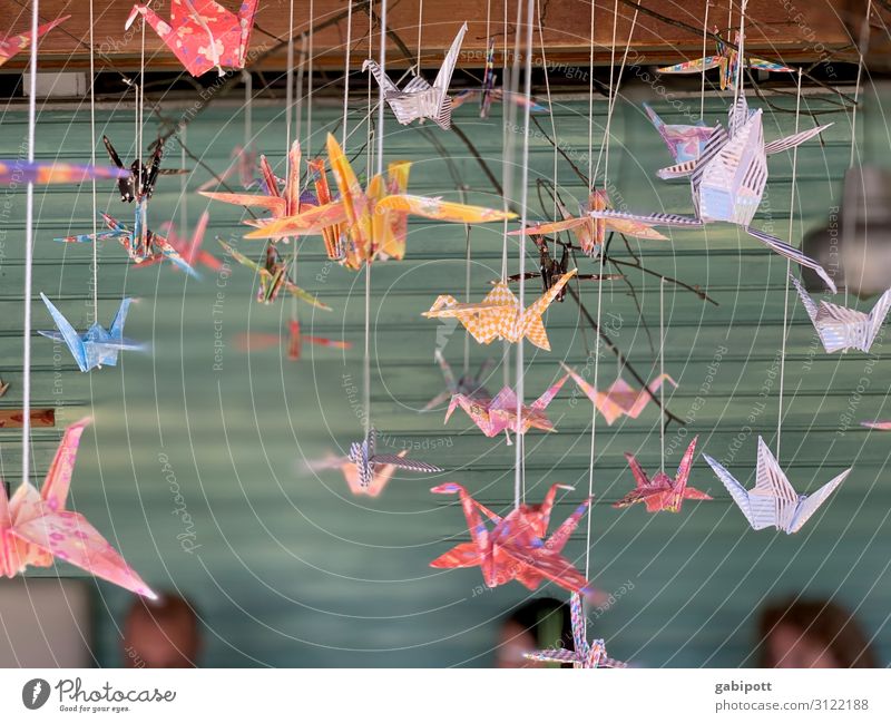 Colourful paper birds Joy Life Senses Relaxation Decoration Multicoloured Bird Paper plane Origami Happiness Cozy Summer Summery Spring fever Colour photo