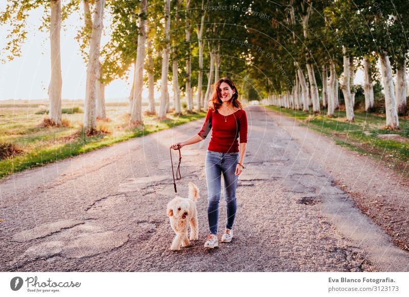 beautiful caucasian woman walking with her cute brown poodle on the road. Pets and lifestyle outdoors Youth (Young adults) Woman Sunset Field Hat Lifestyle