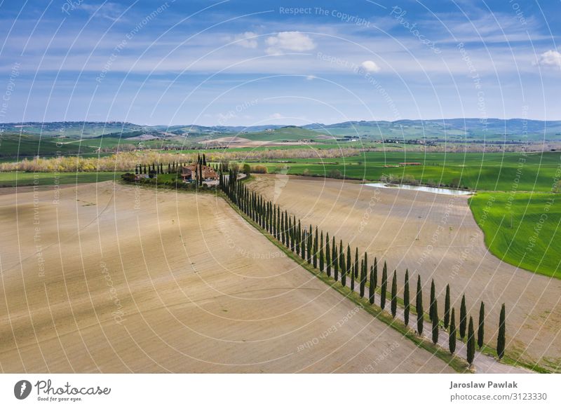 Amazing fields of Tuscany. drone above aerial landscape countryside italy nature europe tuscany farm rural meadow tree cypress outdoor agriculture panoramic