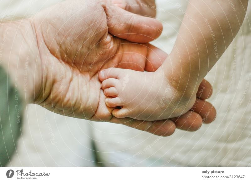 Baby foot in men hand Lifestyle Well-being Senses Relaxation Meditation Massage Leisure and hobbies Playing Man Adults Parents Family & Relations Infancy